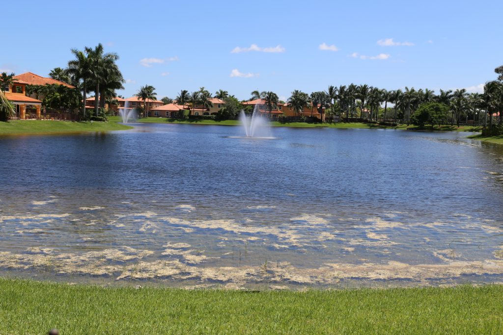 Miami Gated Communities Miami Realtors, buying Coral Gables homes