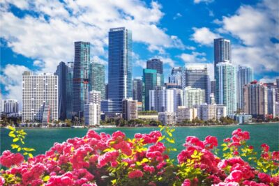 Miami Summer